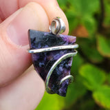 Hand holding purple and black stone in front of green foliage