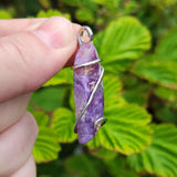 Hand holding a purple crystal pendant against a green leafy background