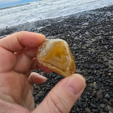 Hand holding a small, rough-textured stone near a beach.