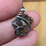 Close-up of a silver and brown pendant held between fingers with a blurred background