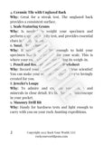 ULTIMATE BUNDLE | Rock Your World Rock ID Guide Package (Printed and E-Book Edition) - Rock Your World 