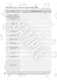 ULTIMATE BUNDLE | Rock Your World Rock ID Guide Package (Printed and E-Book Edition) - Rock Your World 