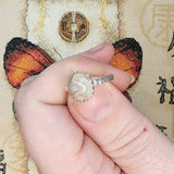 Crazy Lace Agate Ring in Sterling Silver Ring Sz 6.5