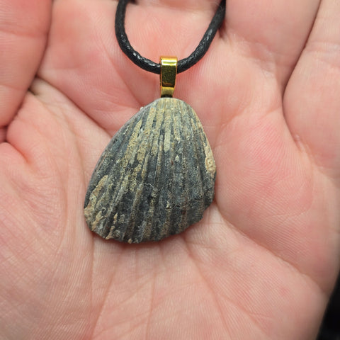 Fossil Seashell Pendant Pendant – Ancient Sealife from Nevada