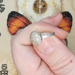 Crazy Lace Agate Ring in Sterling Silver Ring Sz 6.5