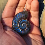 Carved Blue Green Labradorite Ammonite Shell Pendant