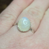 Moonstone Ring sz 10.5 – Blue Glow with Golden Spark in Sterling Silver