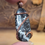 Rare Black and White Fossilized Palm Root Pendant – Copper Setting