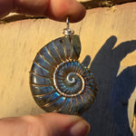 Carved Blue Green Labradorite Ammonite Shell Pendant