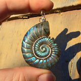 Carved Blue Green Labradorite Ammonite Shell Pendant