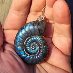 Carved Blue Green Labradorite Ammonite Shell Pendant