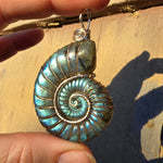 Carved Blue Green Labradorite Ammonite Shell Pendant