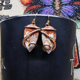 Fiery Crazy Lace Agate Earrings in 14kt Yellow Gold Fill