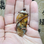 Beverly Marie Oregon Graveyard Point Plume Agate Pendant in Copper