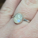Moonstone Ring sz 11 – Golden + Ice Blue Flash Sterling Silver