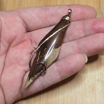 Biggs Picture Jasper Pendant – Ancient Landscape in 14kt Yellow Gold Fill