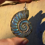 Carved Blue Green Labradorite Ammonite Shell Pendant