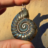 Carved Blue Green Labradorite Ammonite Shell Pendant