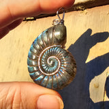 Carved Blue Green Labradorite Ammonite Shell Pendant