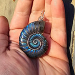 Carved Blue Green Labradorite Ammonite Shell Pendant