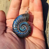 Carved Blue Green Labradorite Ammonite Shell Pendant