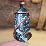 Rare Black and White Fossilized Palm Root Pendant – Copper Setting