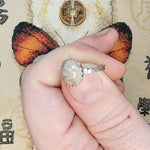 Crazy Lace Agate Ring in Sterling Silver Ring Sz 6.5