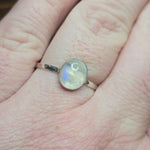 Moonstone Ring sz 11 – Golden + Ice Blue Flash Sterling Silver