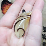 Translucent Petrified Wood Agate Pendant in Hammered Copper