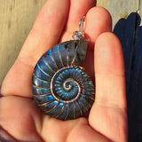 Carved Blue Green Labradorite Ammonite Shell Pendant