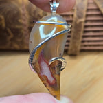Agua Nueva Agate Pendant – Red and Honey Fortification in Sterling Silver Swirl Wrap
