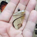 Translucent Petrified Wood Agate Pendant in Hammered Copper