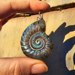 Carved Blue Green Labradorite Ammonite Shell Pendant