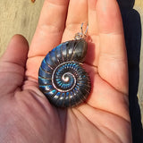 Carved Blue Green Labradorite Ammonite Shell Pendant