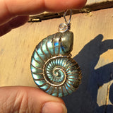 Carved Blue Green Labradorite Ammonite Shell Pendant