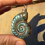 Carved Blue Green Labradorite Ammonite Shell Pendant