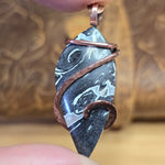 Rare Black + White Fossilized Palm Root Pendant - Copper Wrap Pendant