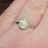 Moonstone Ring sz 11 – Golden + Ice Blue Flash Sterling Silver