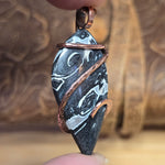 Rare Black + White Fossilized Palm Root Pendant - Copper Wrap Pendant