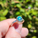 Natural Turquoise Ring Size 10.25 – Sterling Silver with Black Spiderweb Matrix
