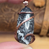 Rare Black and White Fossilized Palm Root Pendant – Copper Setting