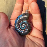 Carved Blue Green Labradorite Ammonite Shell Pendant