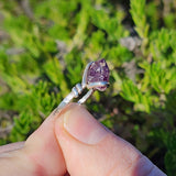 Melody Stone Super Seven Amethyst Crystal Ring in Sterling Silver Sz 7