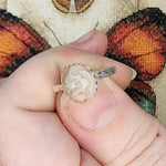 Crazy Lace Agate Ring in Sterling Silver Ring Sz 6.5