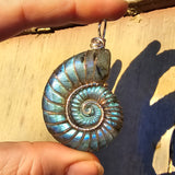 Carved Blue Green Labradorite Ammonite Shell Pendant