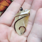 Translucent Petrified Wood Agate Pendant in Hammered Copper