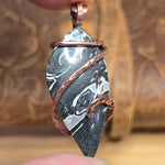 Rare Black + White Fossilized Palm Root Pendant - Copper Wrap Pendant
