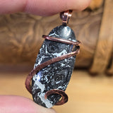 Rare Black and White Fossilized Palm Root Pendant – Copper Setting