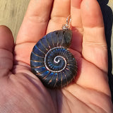 Carved Blue Green Labradorite Ammonite Shell Pendant