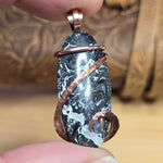 Rare Black and White Fossilized Palm Root Pendant – Copper Setting